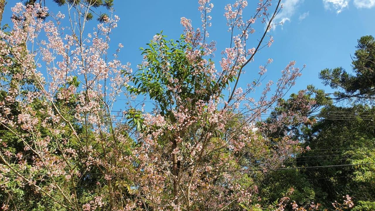 Pousada Toque De Minas Visconde de Mauá Exterior foto